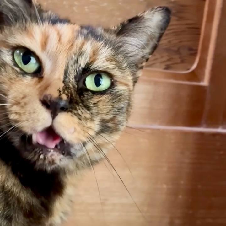 6ceb69c4 1e04 40e2 9583 cb97902b4ce1 1750127135842