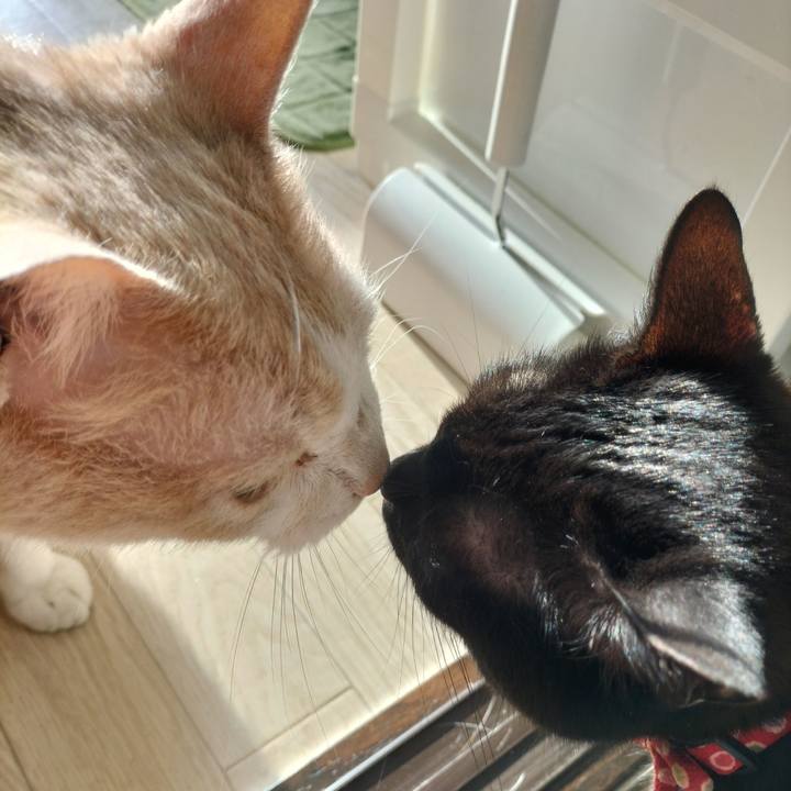 6ceb943c ca79 4ea8 a50e b90dffc01260 1649284498148