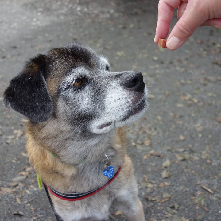 6ceb978c aca1 4812 a1d4 e7830d8844f6 1648343330229