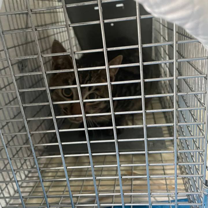 6ceba168 0ffc 43ae b70b 0c09db3f3fa0 1637015091963