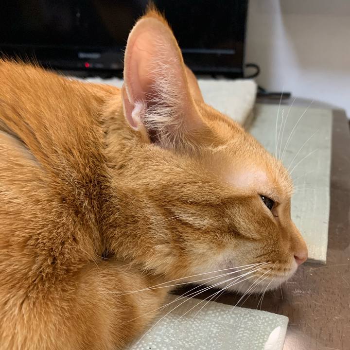 6cec3956 31a3 4755 bca2 ad3a68accf62 1577401016155