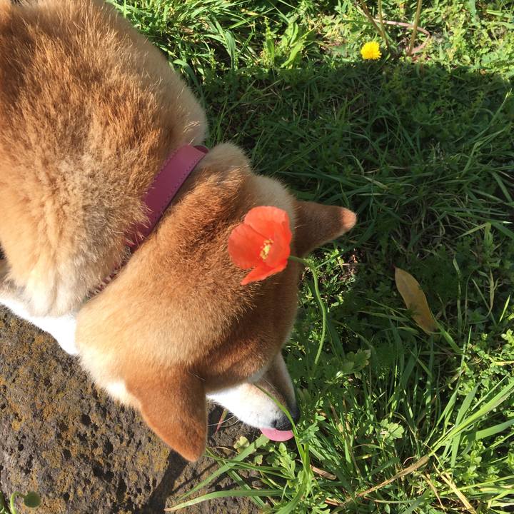 6cec5f0b 35d5 4322 b3c8 5276f06832d6 1618098158721