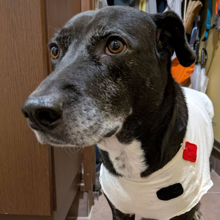 6cec6704 1b7e 4ae7 9e52 3a5206b4d778 1734690907679