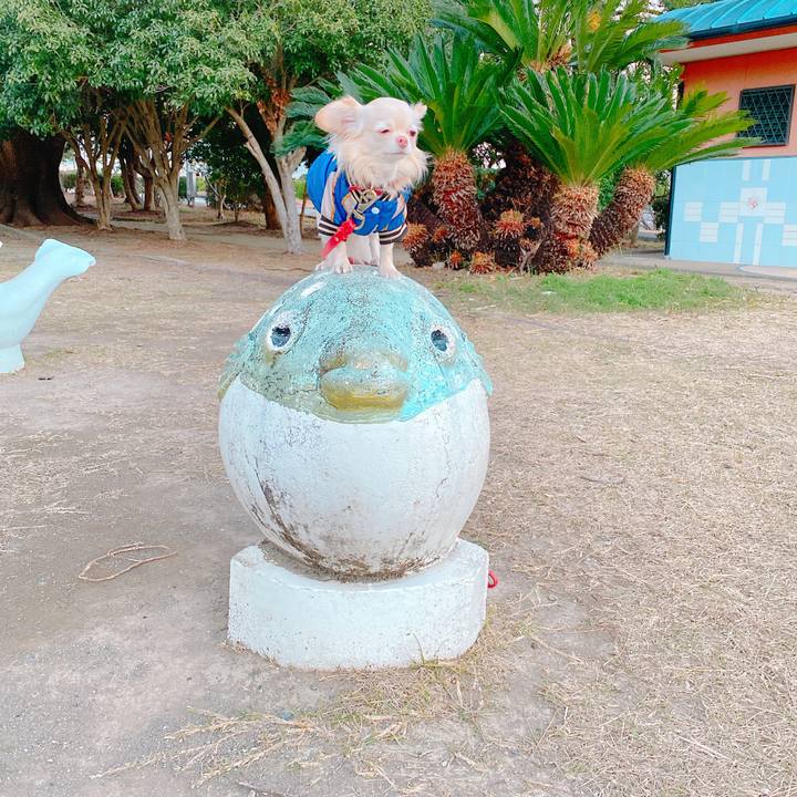 6cec8b0a 1299 4d3f b608 ab7b2c291265 1641202906814