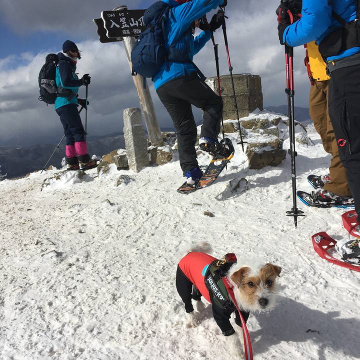 6cec8b62 da96 4de3 b732 090557e6cb25 1518415680360