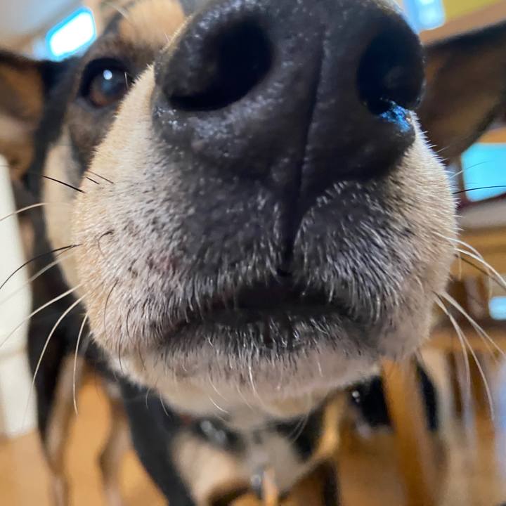 6cec95f8 8e29 4ace ace6 a78a727972a5 1677551517774