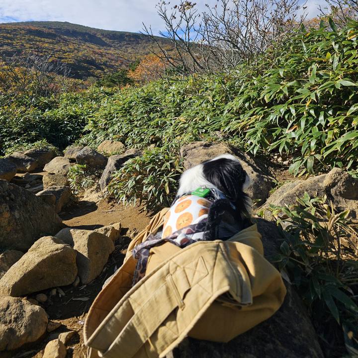 6cec983f 3501 4ca9 8681 86ec5b445f55 1729165464919