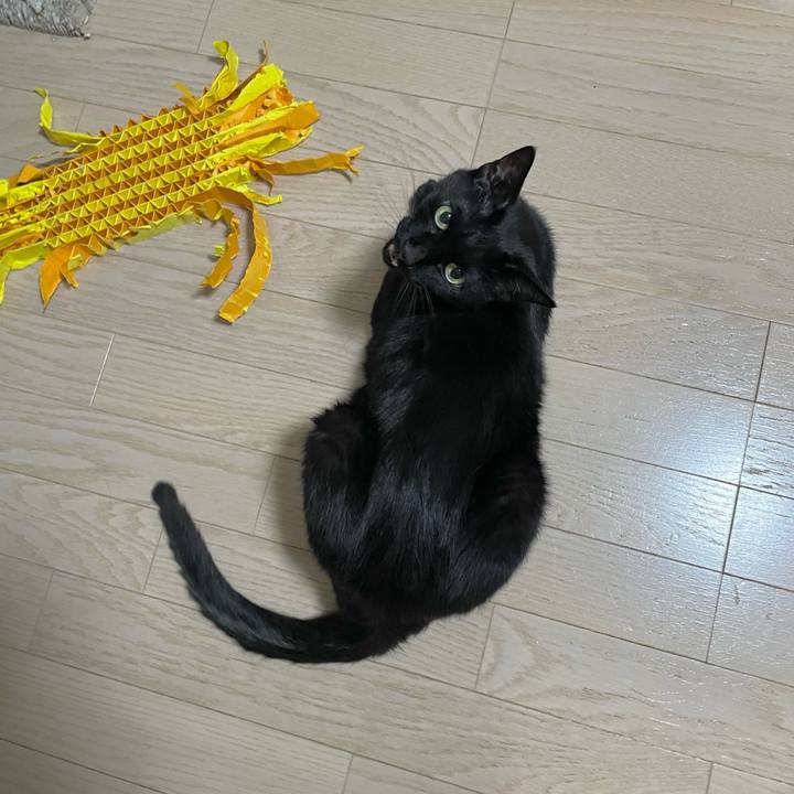 6cecb03b b863 411c aeed 60e7b235bc99 1685009836966