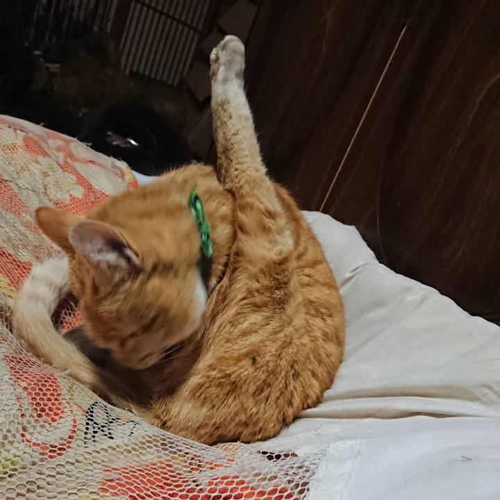 6ceceabb 6b8b 436c af34 01a2193a5577 1586605429207