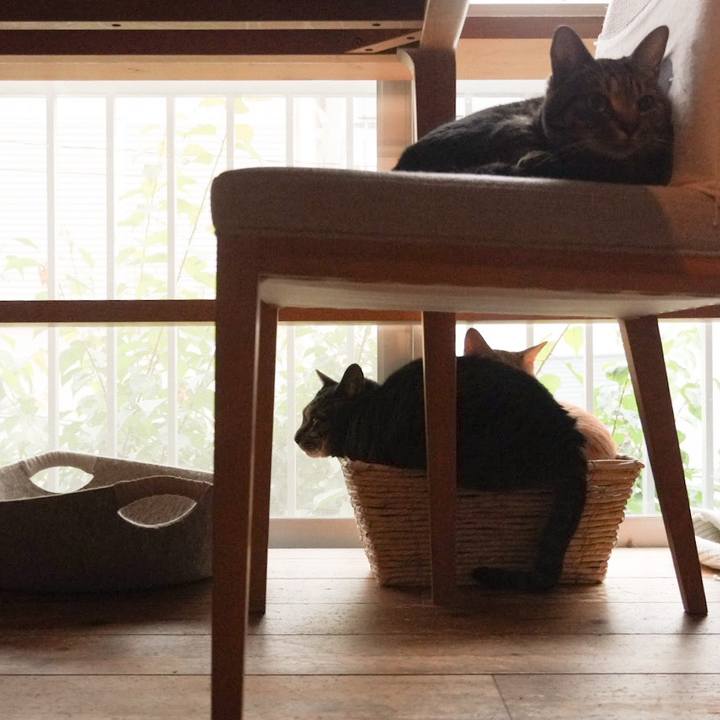 6ced179b 9828 43a8 a8d9 a52fe1ae933a 1748732260205