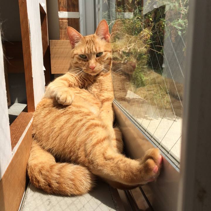 6ced2360 6cee 4ef4 a7db d1b8fd81ecc2 1524363219810