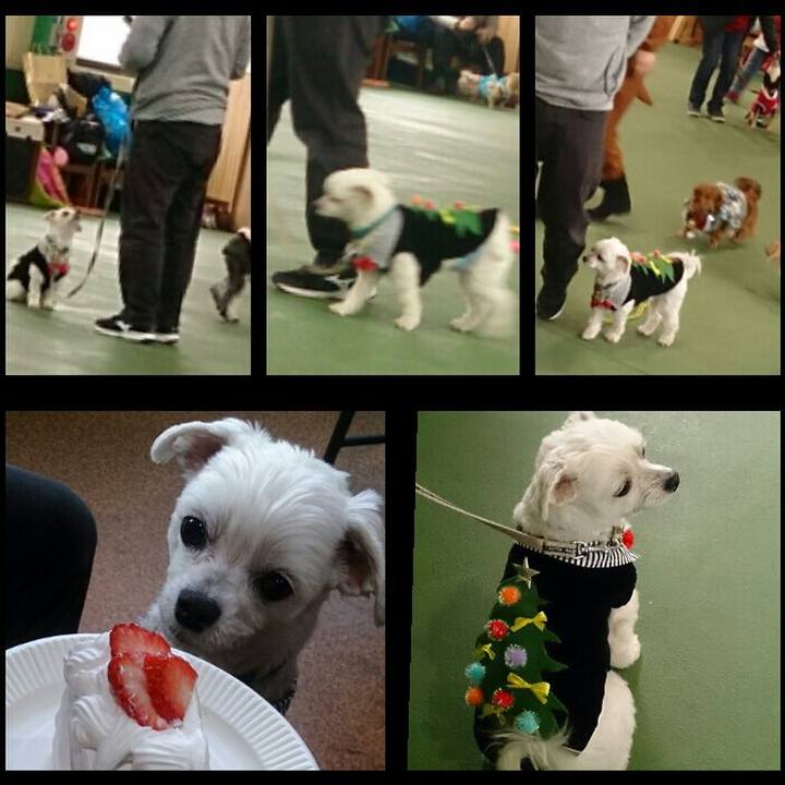 6ced8aa3 c4c8 4bfd beb2 0b70f265c706 1514104855857