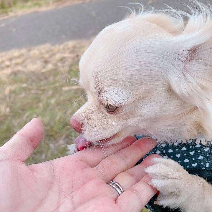 6ced9854 3a5a 4542 aca3 abeb1437d699 1610088565478