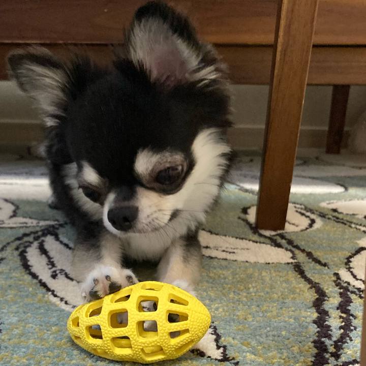 6cedc13c e31c 4bec 87d3 10c22fd03444 1626558800350