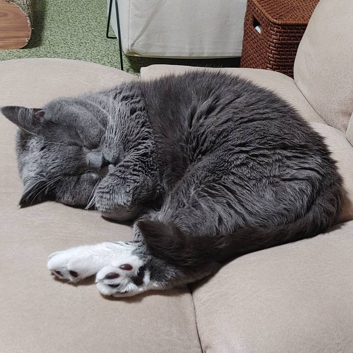 6cedc880 db8c 4d6c b21d 3a765674323f 1707045860375