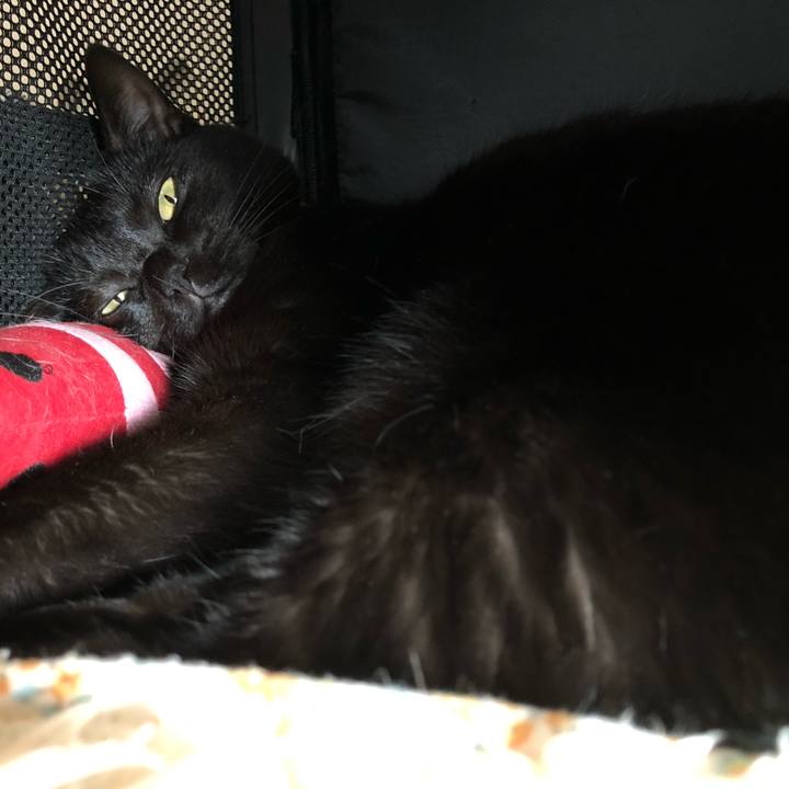 6cedcf3e 1bfd 4a55 890d 8b21bfd0b506 1564096944295