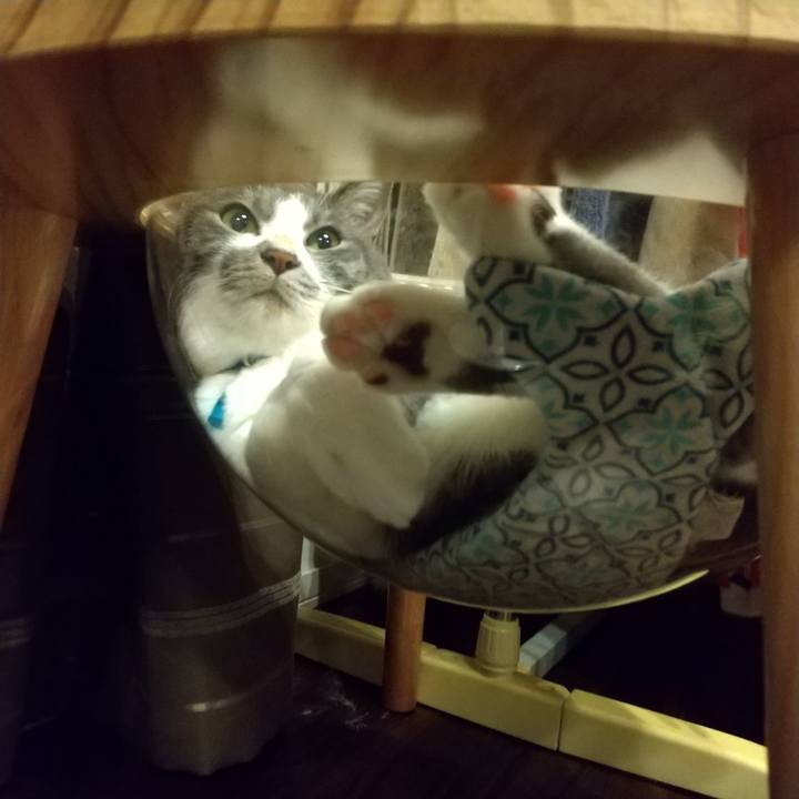 6cedd541 a018 45fc b84a de9d42e1de8b 1629034519619