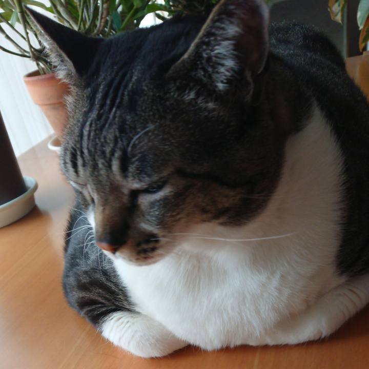 6ceddf29 683f 4d51 a2f6 10806caa509a 1553836198790