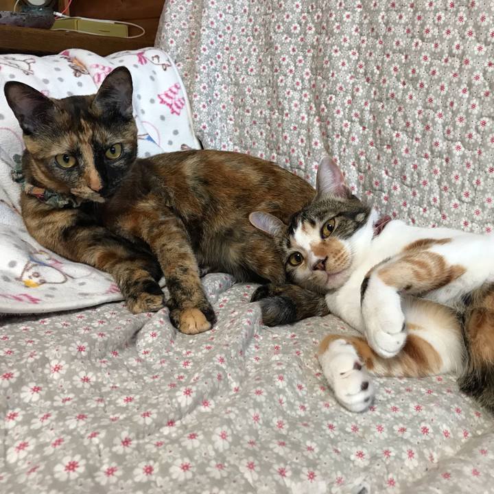 6ceddf88 4e94 48da ad82 5f53e722d61f 1633503001792