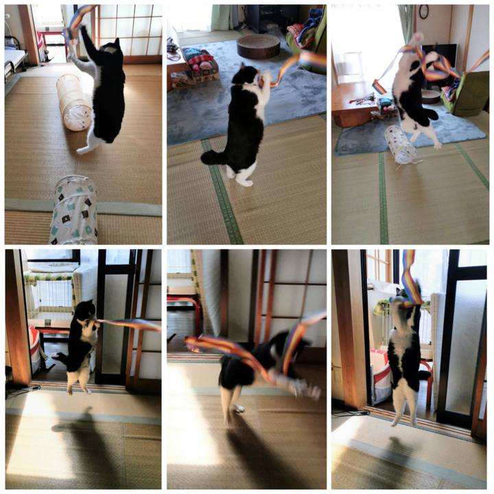 6cedf07c e80d 4c10 b5cd 887f1b90175a 1678593951855