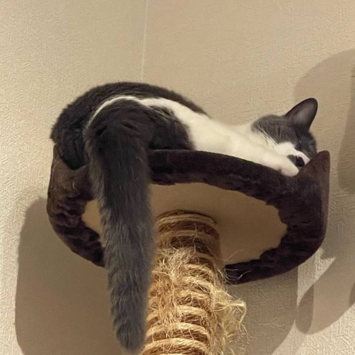 6cee18b5 eda0 489e 9d7d 2e317367f235 1753713331900