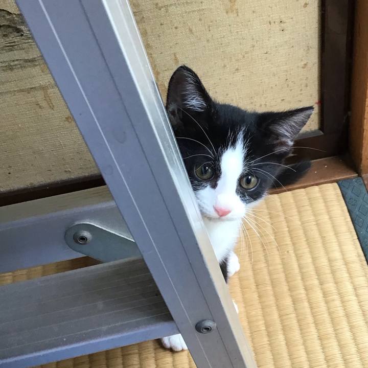 6cee2127 a4d3 464e b0e6 059ef3c2b406 1624931686888