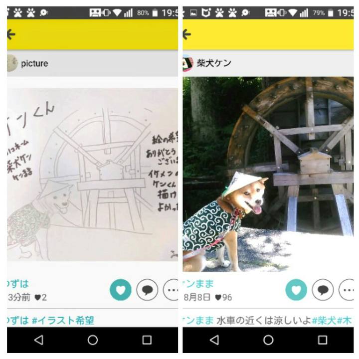 6cee92b8 74d4 487a a89e 9942f0b6e5a4 1573038357488