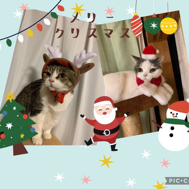 6ceea9a7 72f6 4bbd 974a bdf6334c270c 1640431441191