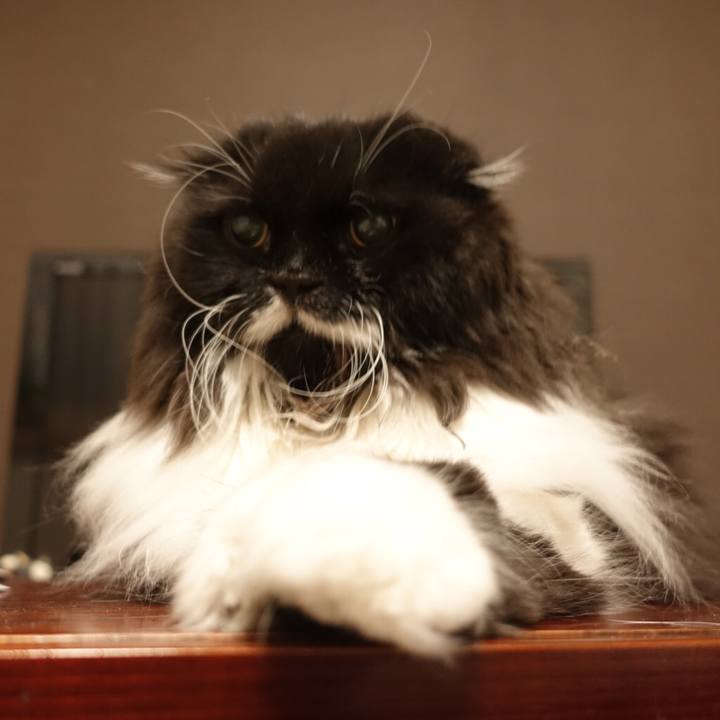 6ceef369 a9d0 480f 856a b3e591839d2f 1558876891433