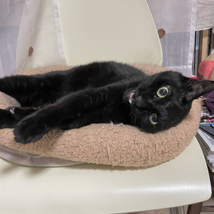 6cef1f6e c02e 4ac1 b2cb 81c6250382a4 1683810404919