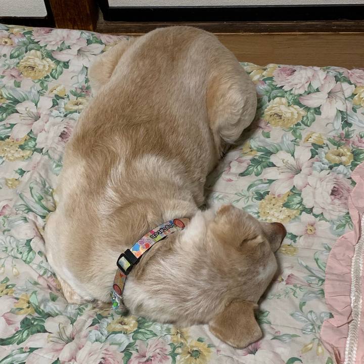 6cef37ca 364a 4db2 a3ea 4c9887ade2c9 1554909831687