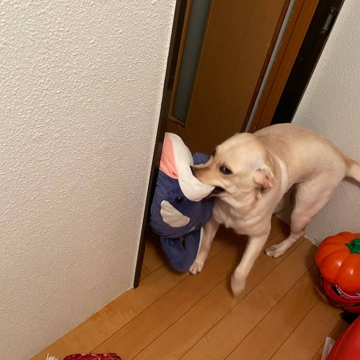 6cef3eb6 404e 436c 92a4 712b8c5d8726 1642629970363