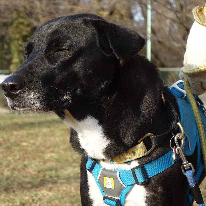 6cefb09d 8beb 4c59 9309 ddbfab614342 1614558656291