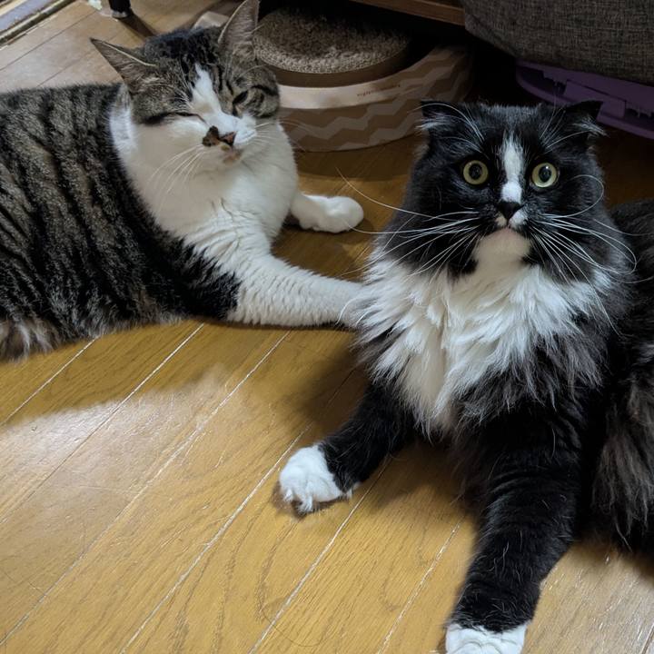 6cefb73b e8e1 489d bc08 9181235f5b06 1751409818659