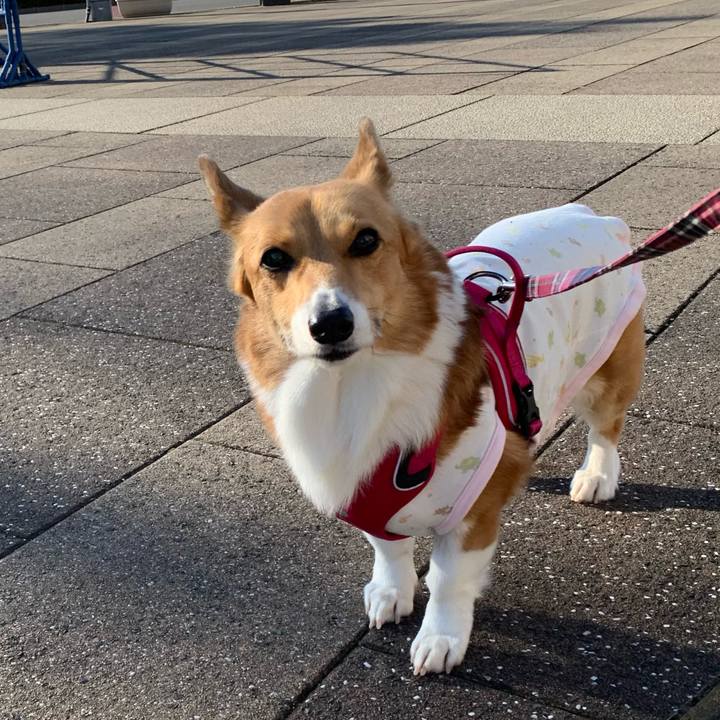 6ceff9a1 4148 4fb4 910b 2b70e021a478 1613717735834