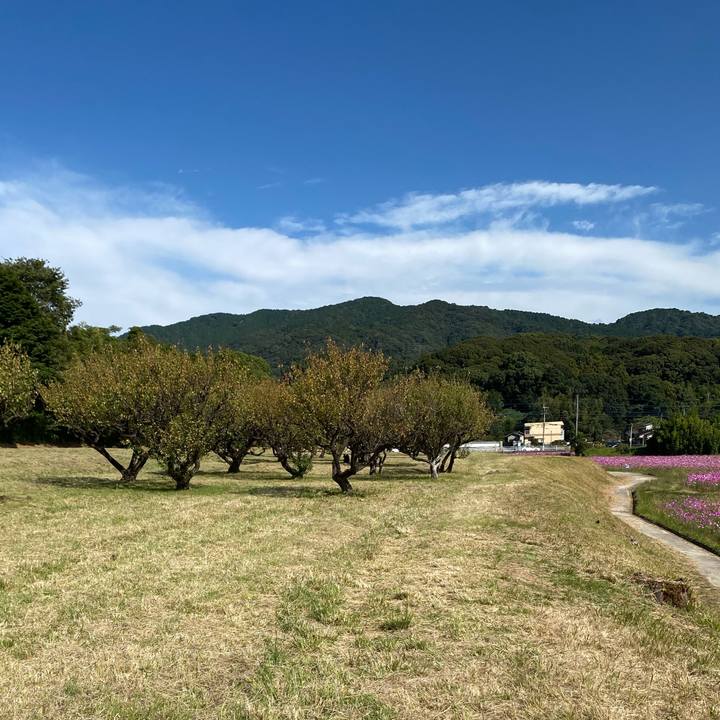 6cf018c9 bdfe 4bf1 aa0a 103436c3ac92 1635133393817