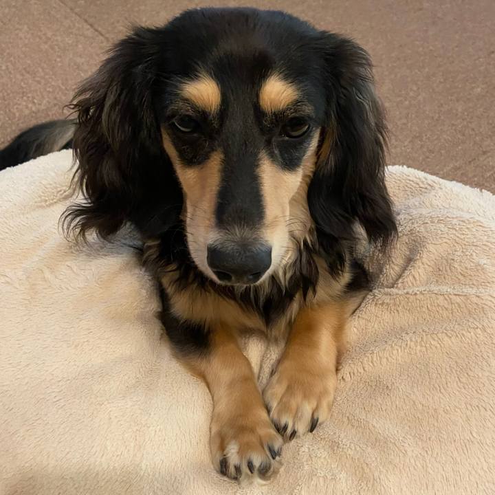 6cf0225b 212b 4bbe b9e6 e7ce9cb1bdd9 1688014115440