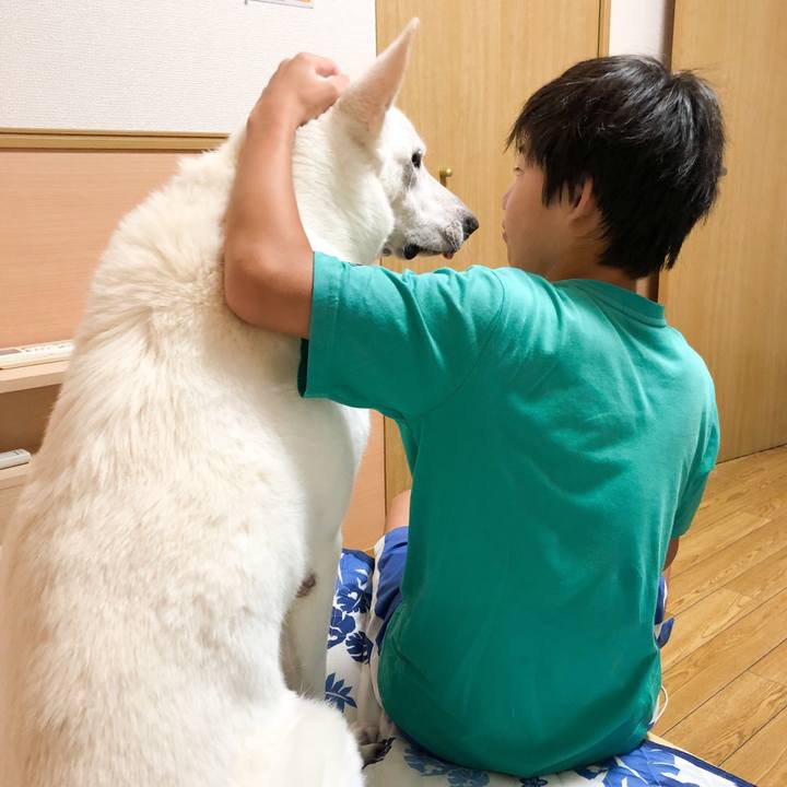 6cf0772d 11c3 4ff0 9af9 38dd7c9b4d65 1571034586008