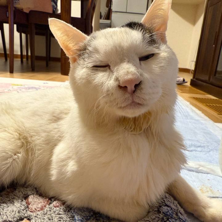 6cf098f8 6542 4695 9735 e6ee3b5e8dc5 1771161356792