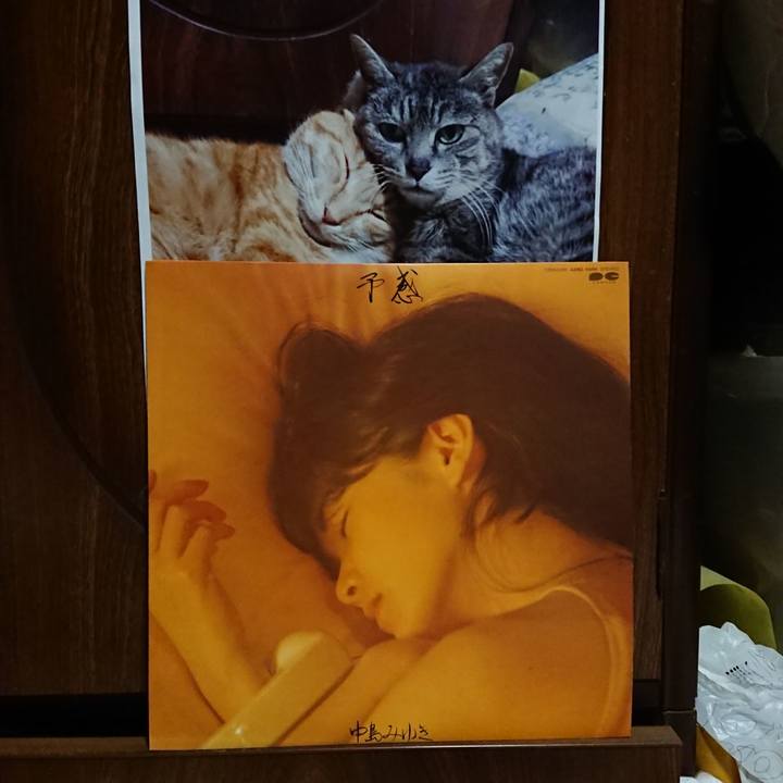 6cf09d49 5f23 4ed5 af8e 4725ed3be921 1599822641603