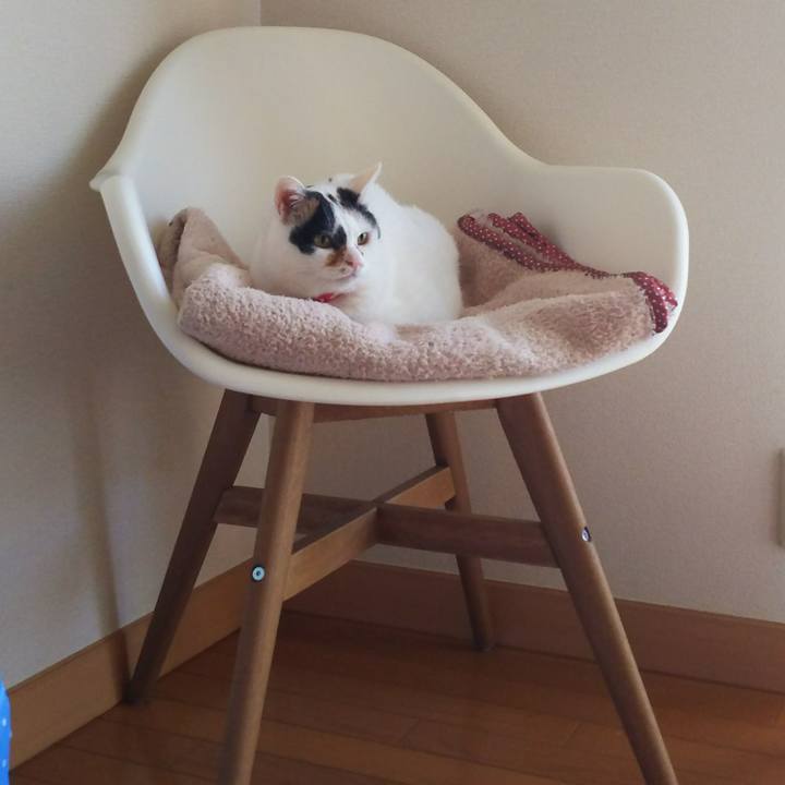 6cf0ca5e ce55 445b bd0d 90fca2a2073d 1510181824312