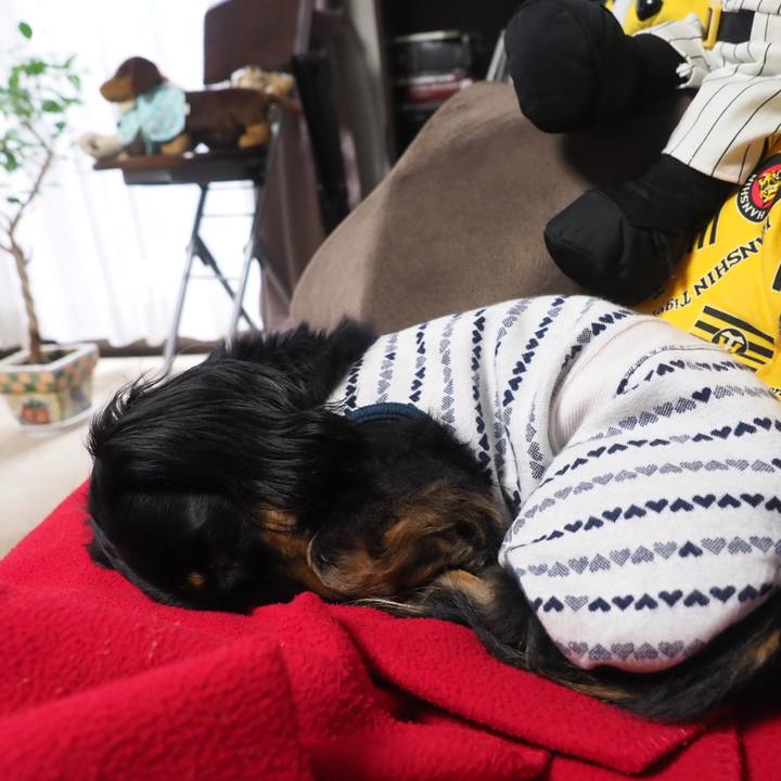 6cf10937 3715 461c a600 8181279b7cfb 1621576386481