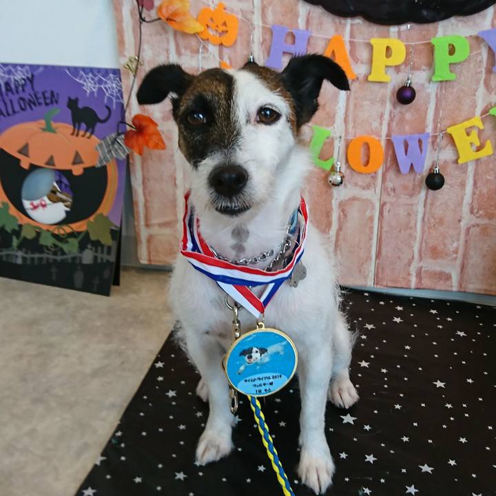 6cf12be9 f727 4b5c af9e 1ce0183edd95 1568456704281