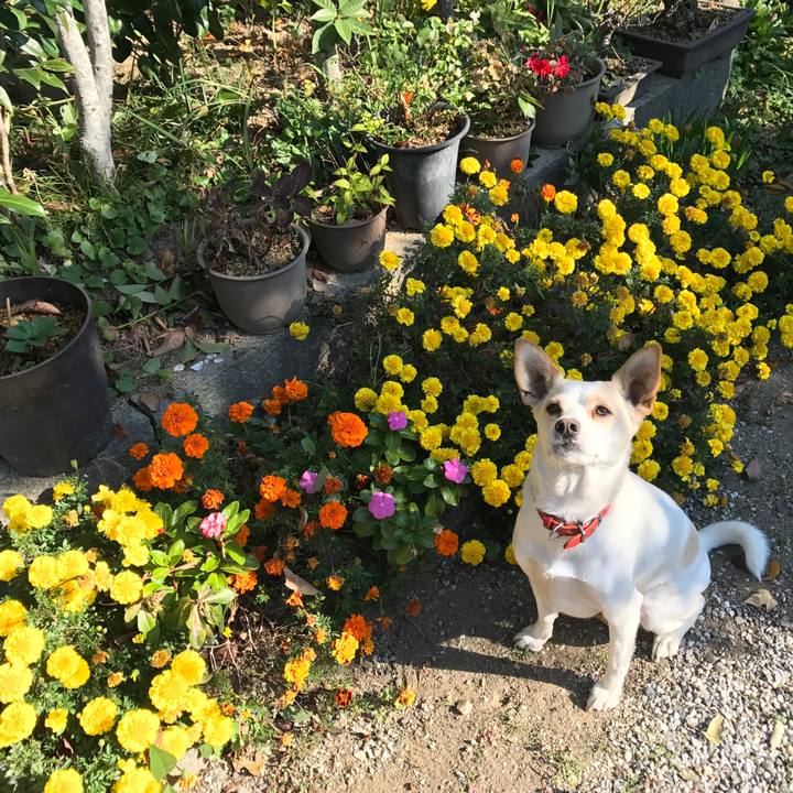 6cf15299 ced8 46c0 9d32 876f97e2e408 1541292355928