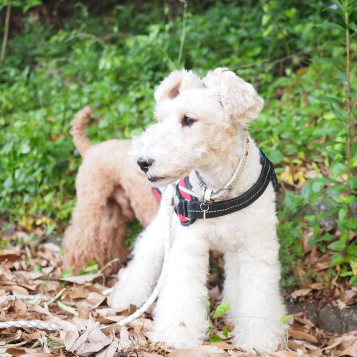 6cf1a24c 7b15 448a 92e7 8a2c2a31e612 1559313648726