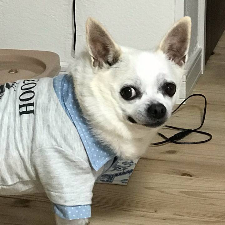 6cf1e564 e440 4c33 8549 01665b81b9da 1594468439425