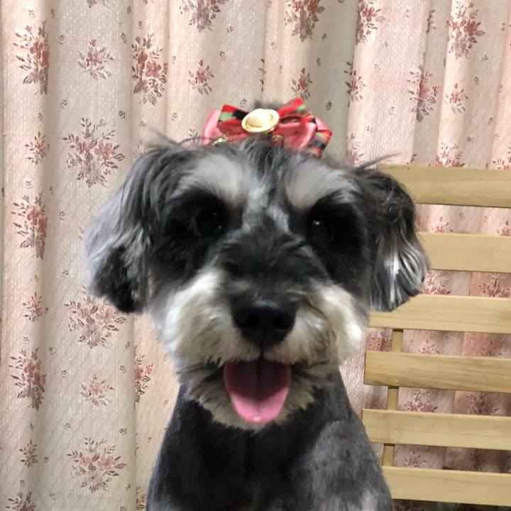 6cf20951 7504 46f8 a505 14adeb60de79 1532597028413