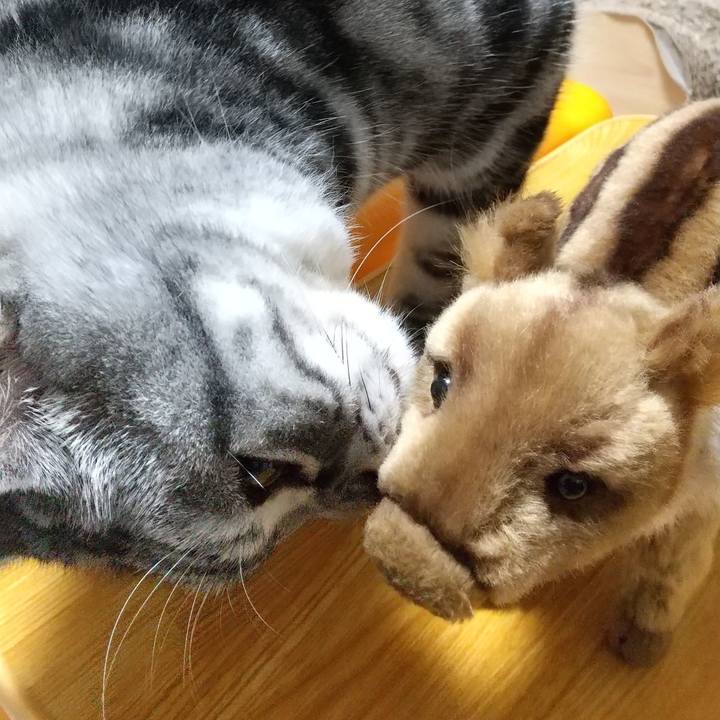 6cf22b41 c7c9 4985 a944 de6c99f1f60a 1671679453520