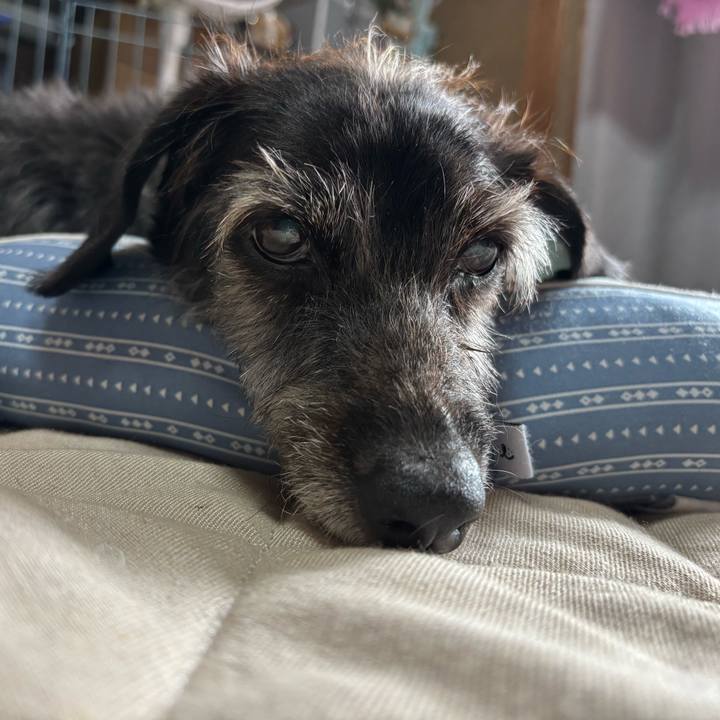 6cf23d25 672d 4ac9 9617 adf0f77a6174 1757719093693