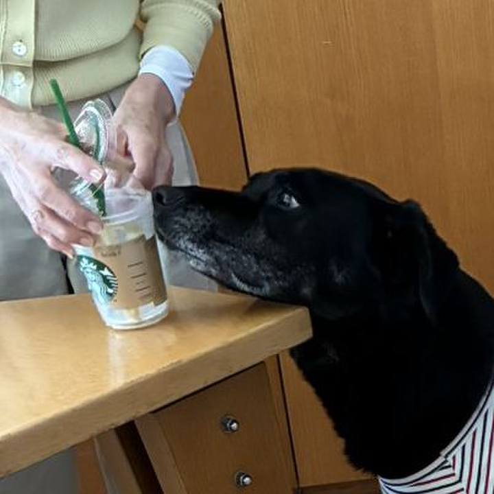 6cf26c53 dbc5 464b a838 31cba266deff 1771806713671